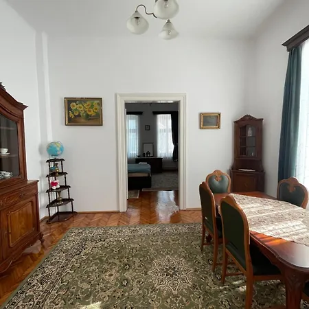 Classical In Historical Building Apartment Timisoara